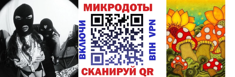 Псилоцибиновые грибы мицелий Усть-Катав